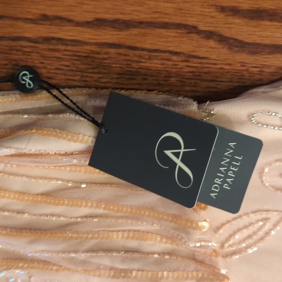 Adrianna Papell Beaded Chiffon Flowy Formal Maxi Gown Neutral Blush  NWT Sz 10 - Picture 5 of 8